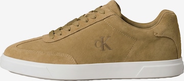 Baskets basses Calvin Klein en marron : devant