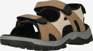 Whistler Sandalen 'Cornella' in Beige: Vorderseite