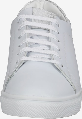 Gordon & Bros Sneakers in White