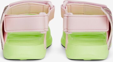 Sandales 'Divecat V2' PUMA en vert
