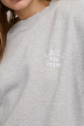 Ball Sweatshirt 'SAVONA' in Grijs