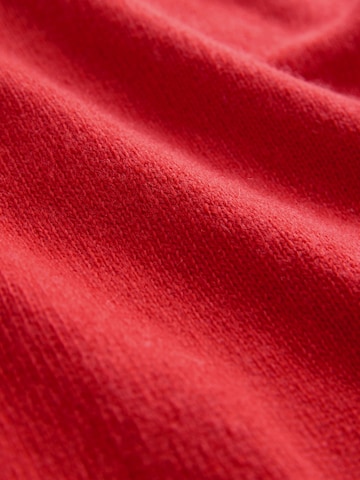 Pulover 'N. Premium' de la Next pe roșu