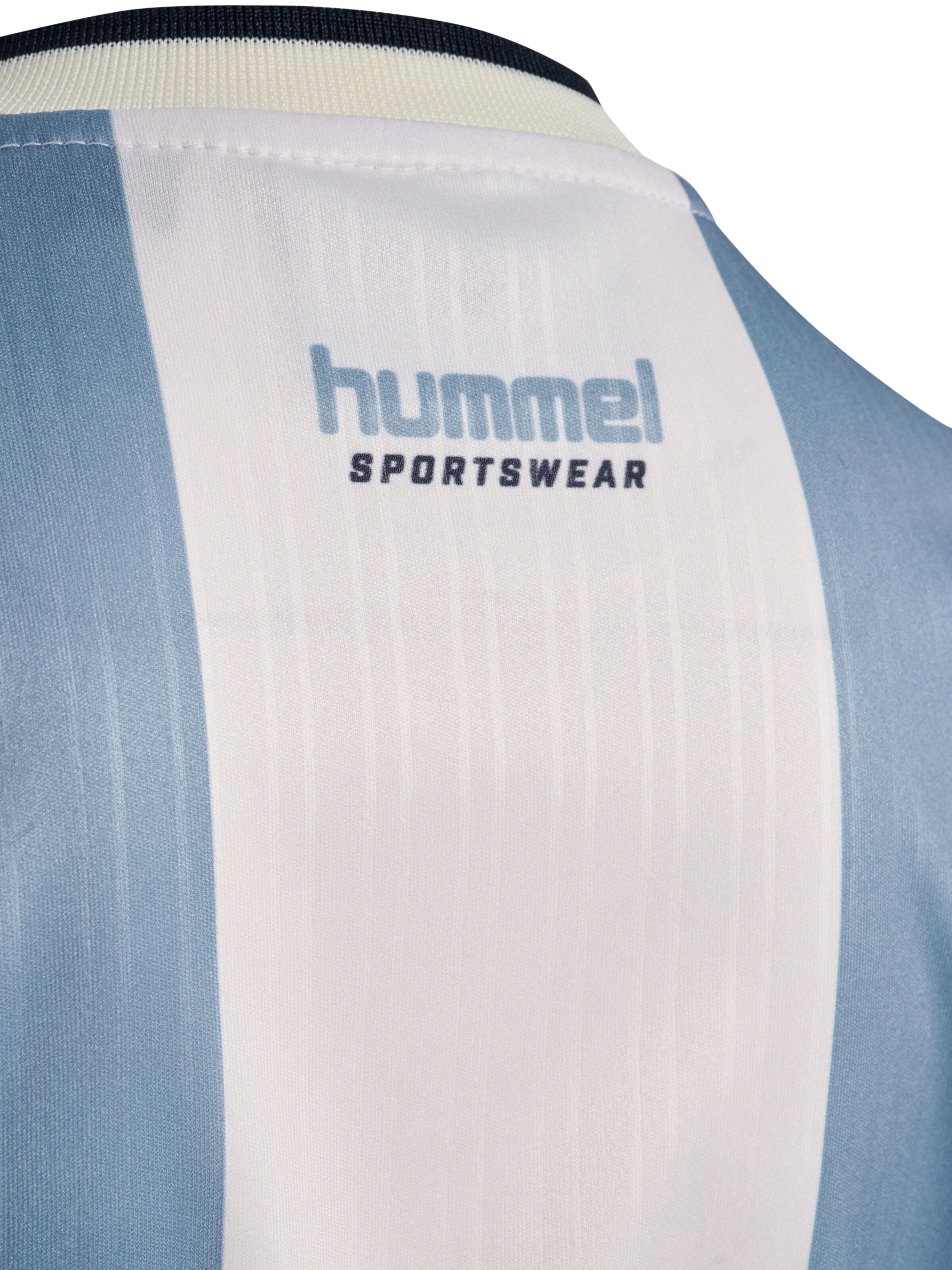 Hummel Functioneel shirt 'Loose Ball' in Blauw