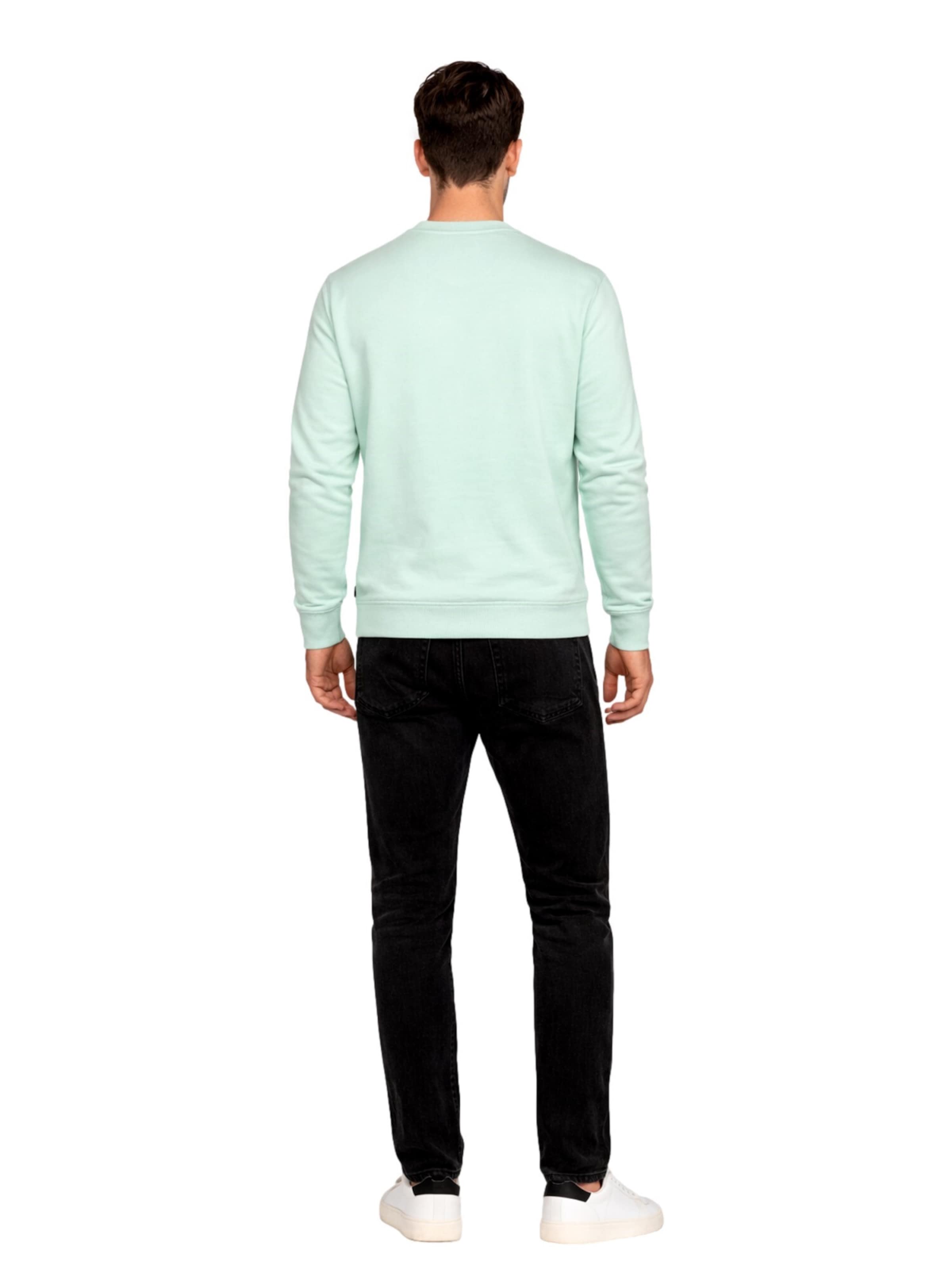 Petrol Industries Sweatshirt in Green