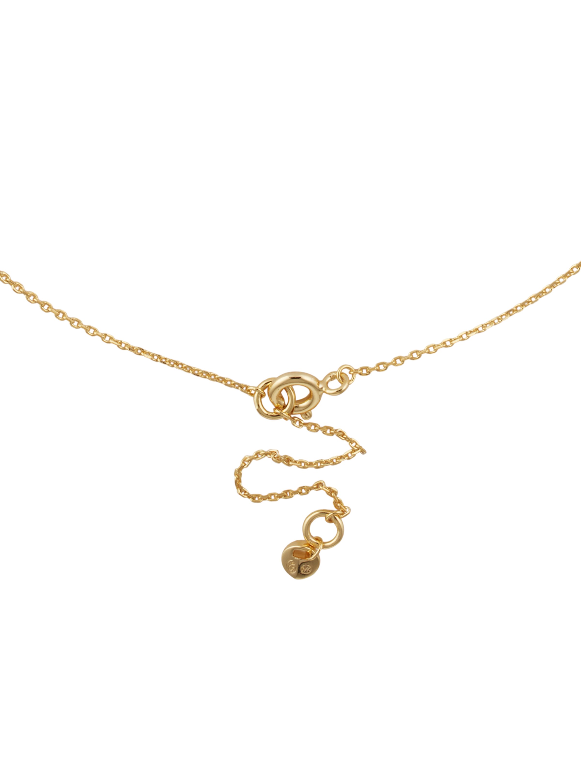 Frauen Schmuck Michael Kors Kette in Gold - HA31116 Frauen Schmuck Michael Kors Kette in Gold - HA31116