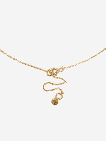 Collana di Michael Kors in oro