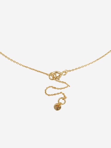 Michael Kors Necklace in Gold