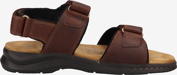 CLARKS Sandalen 'Hapsford Creek' in Bruin