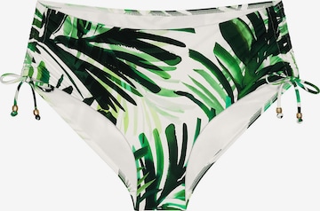 TRIUMPH Bikinibroek ' Red Label Summer Palm ' in Groen: voorkant
