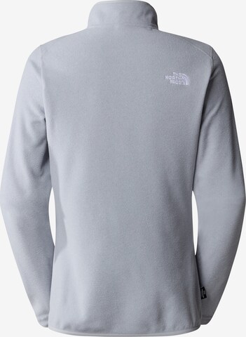 THE NORTH FACE Athletic Sweater '100 Glacier' in Grey