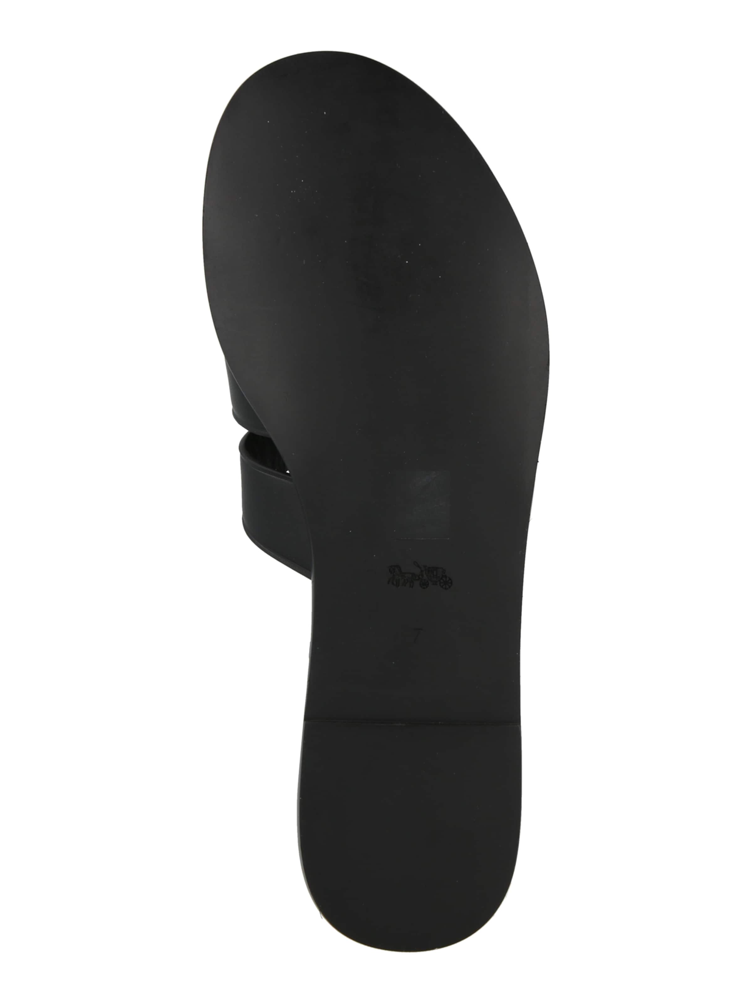 COACH Nizki natikači 'Lena' | črna barva