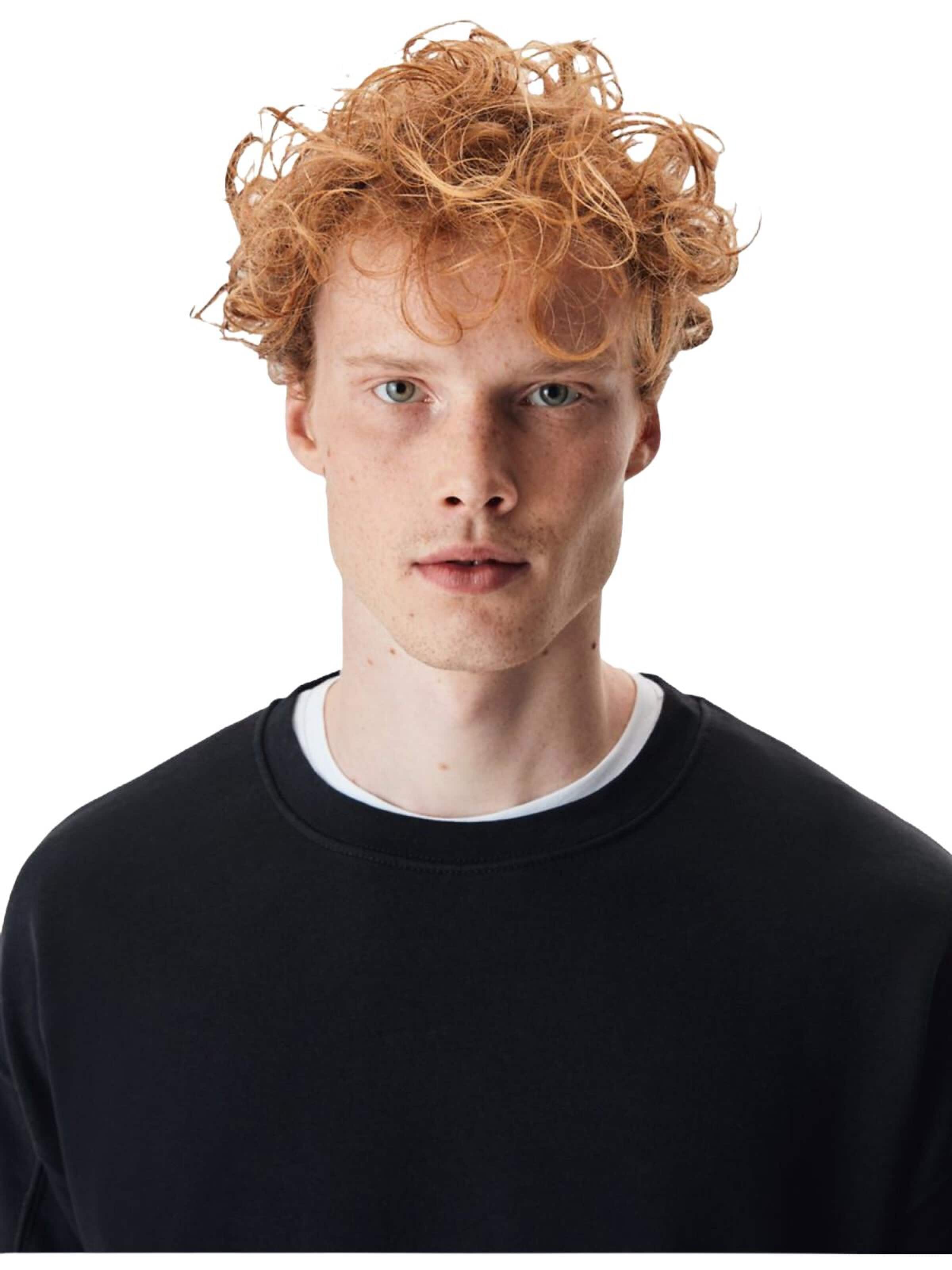 LTB Jeans Sweatshirt 'LTB Jeans Herren Basic Sweatshirt' in Zwart