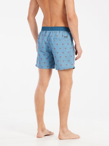 PROTEST Swimming shorts 'PRTParco' in Blue