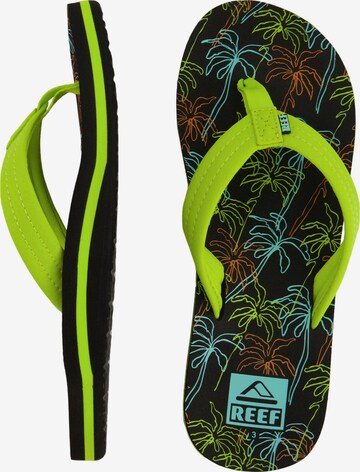 REEF Beach & Pool Shoes ' Kids Ahi ' in Green