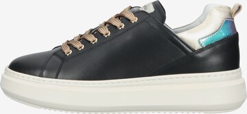 Nero Giardini Sneakers in Black