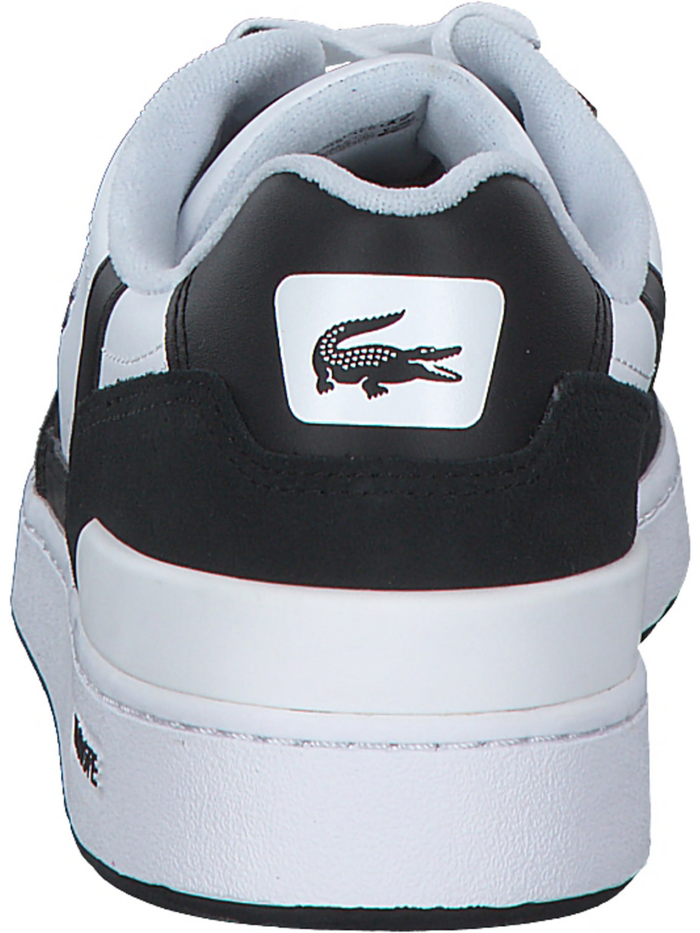Lacoste lace up sneakers clearance