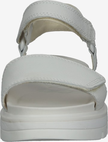 TIMBERLAND Strap Sandals in White