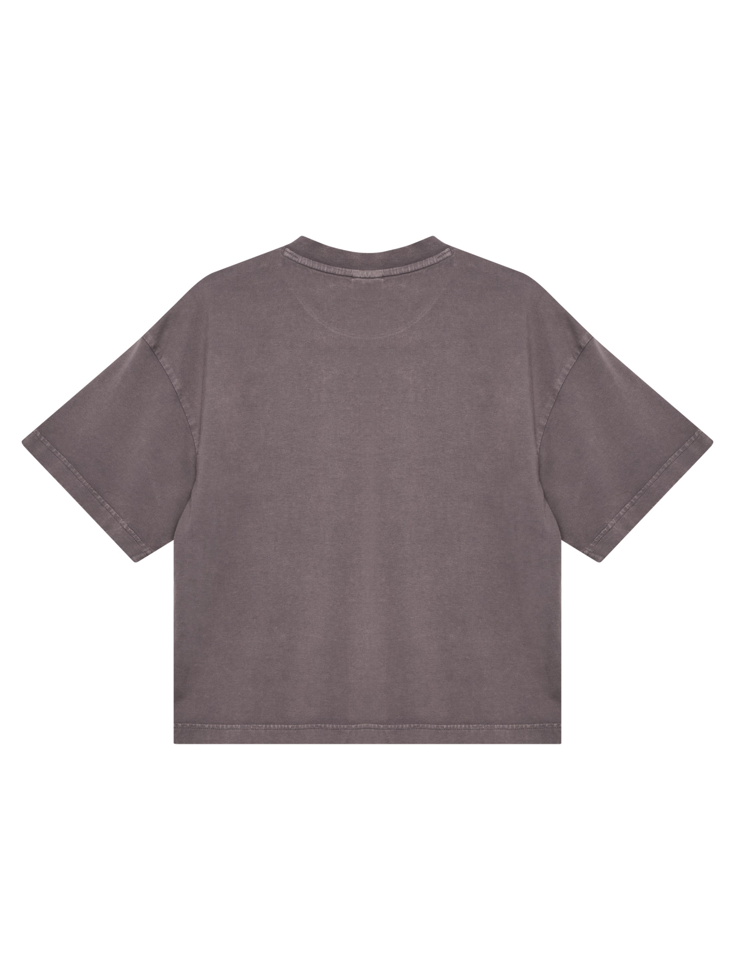 HALO Shirt in Grey