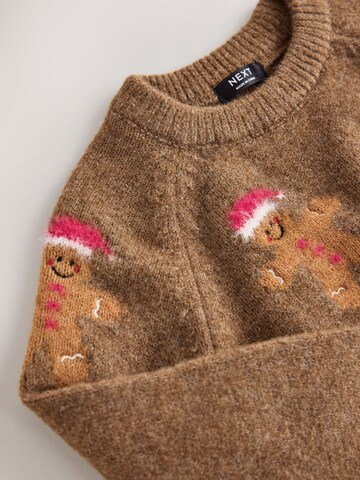 Next Pullover in Braun