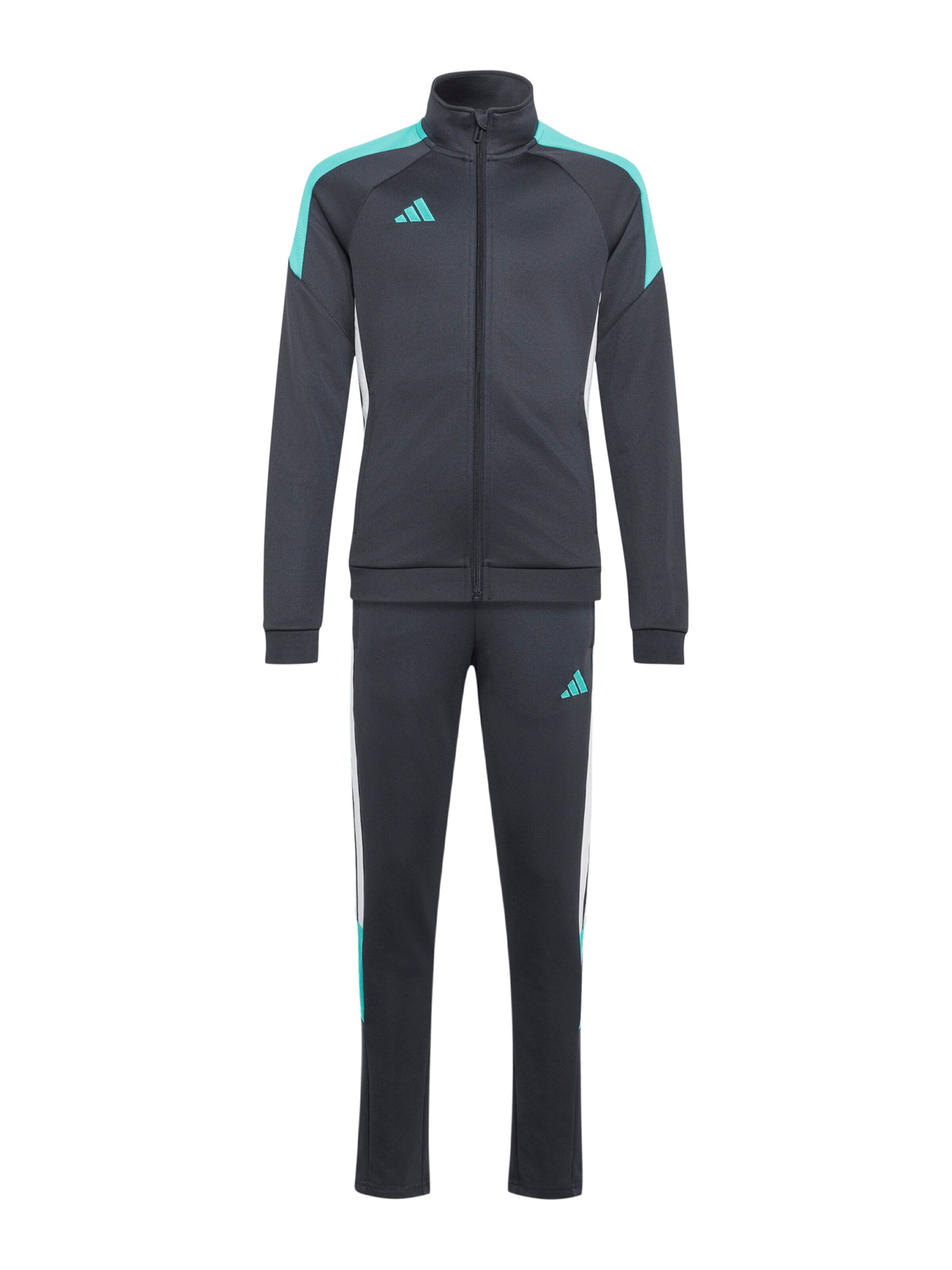 ADIDAS PERFORMANCE Спортивный костюм 'TIRO ES' в Серый: спереди