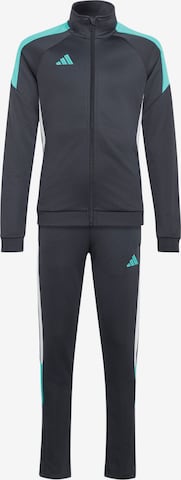 ADIDAS PERFORMANCE Sportpak 'TIRO ES' in Grijs: voorkant