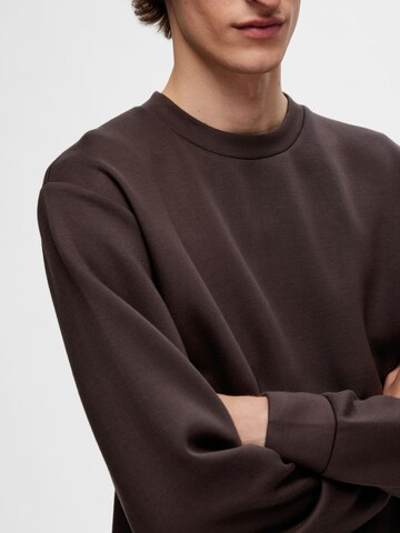 SELECTED HOMME Sweatshirt in Brown