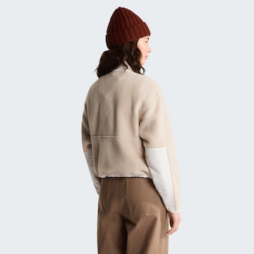 THE NORTH FACE Sportpullover in Beige