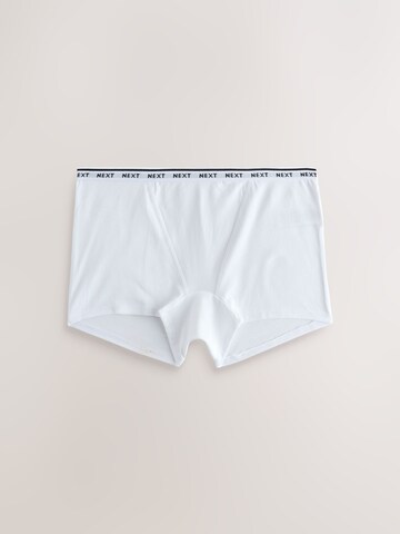Next Boyshorts in Blue