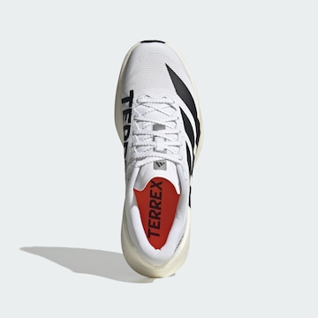 Chaussure de course 'Agravic Sl' ADIDAS TERREX en blanc