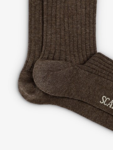 Scalpers Soft M Socks ' ' in Braun