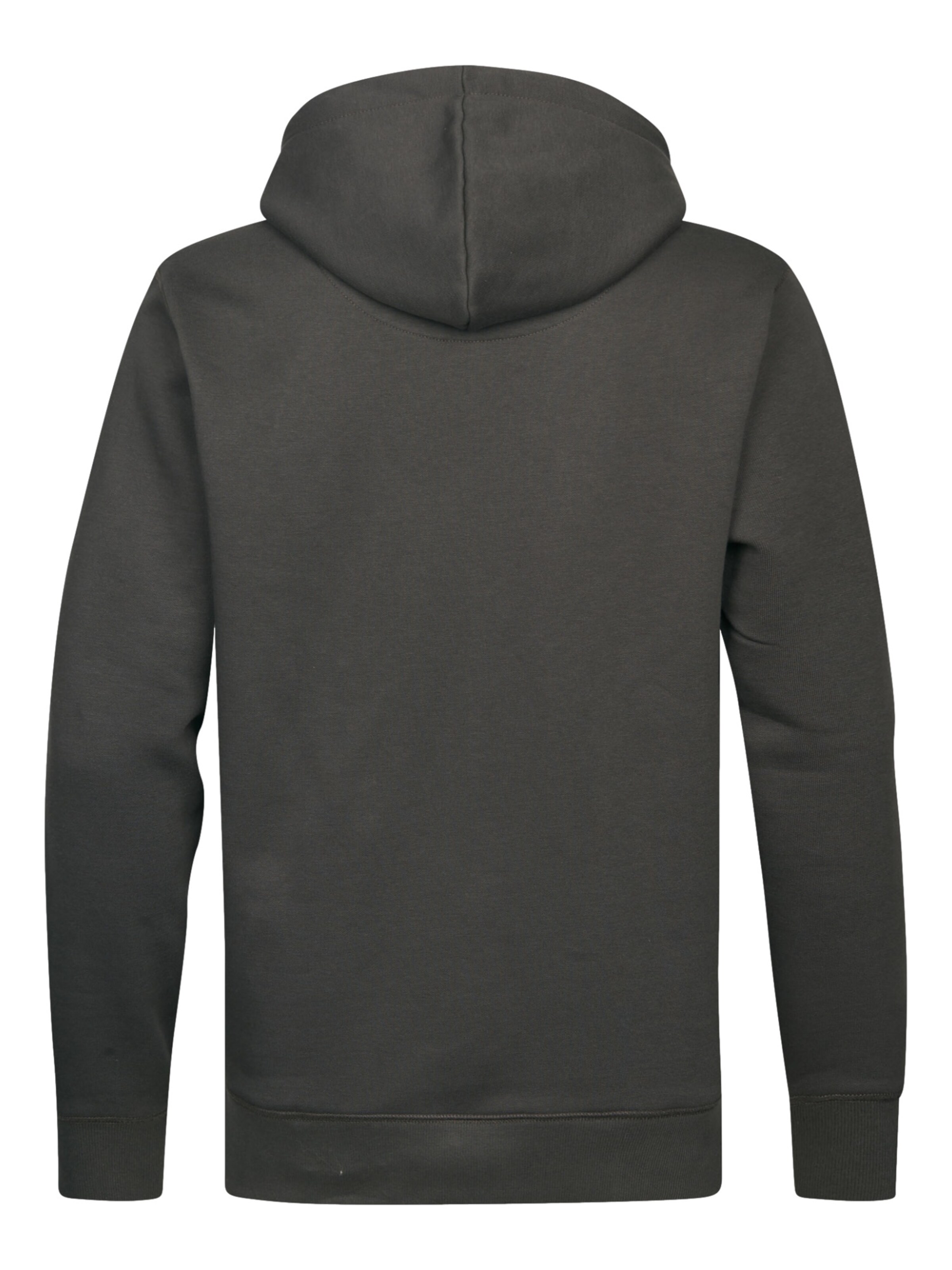 Petrol Industries Sweatshirt in Grijs