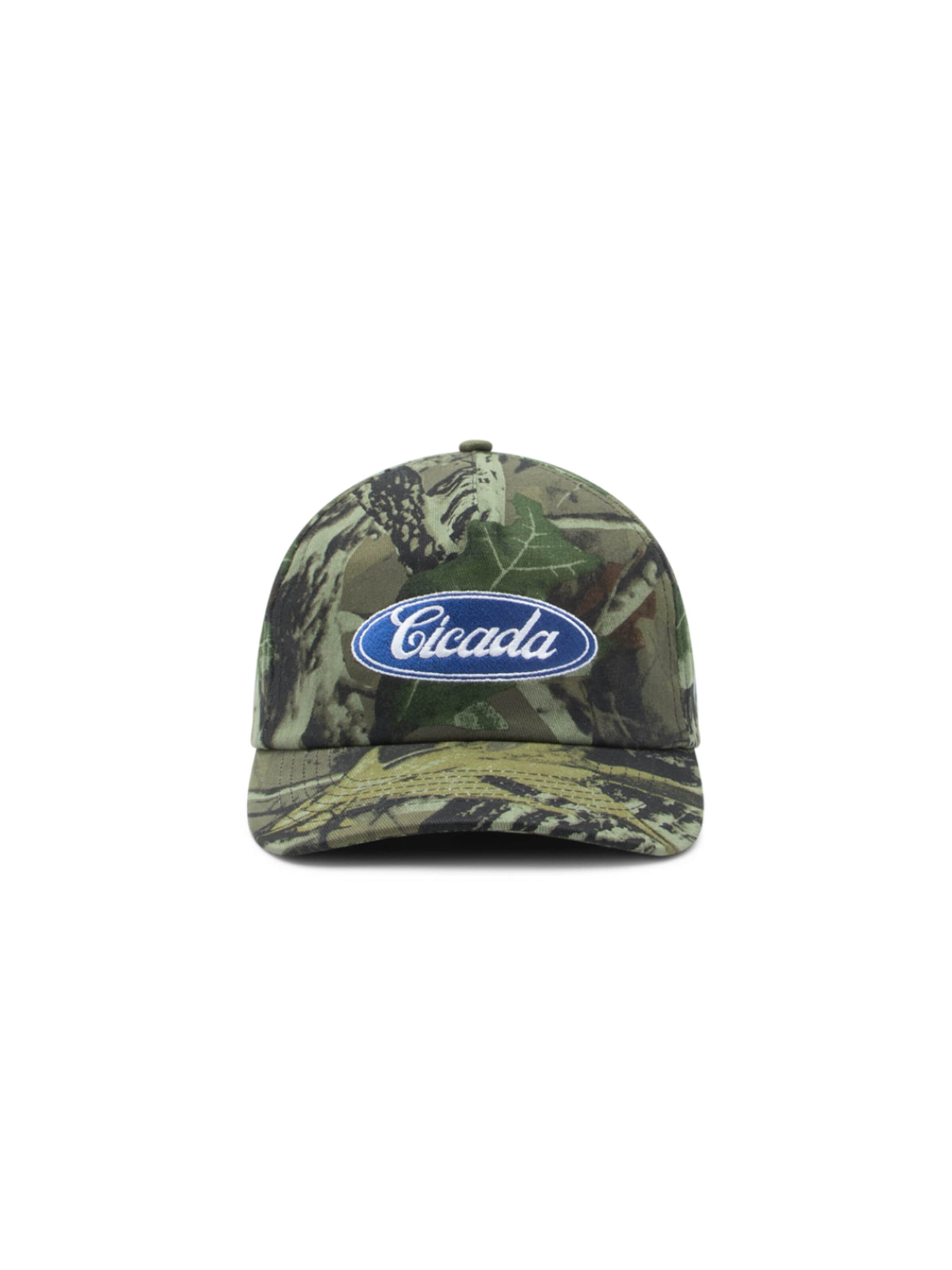 Divention Cap 'Cicada Cap'‌‌‌‌‌ in Grün: Vorderseite