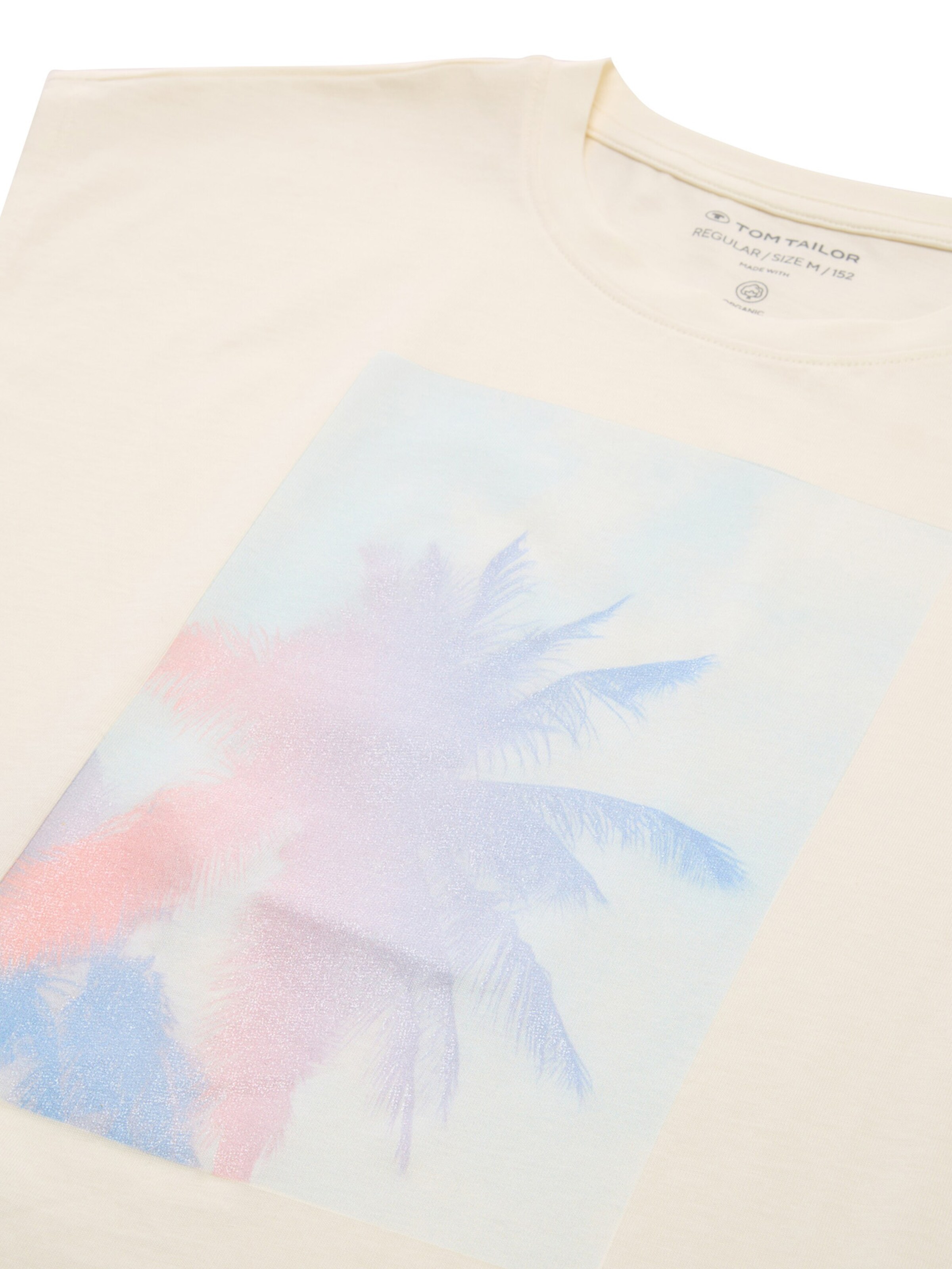 TOM TAILOR Shirt in White