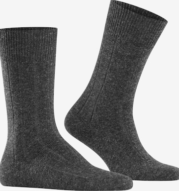 FALKE Socks 'Lhasa Rib' in Grey: front