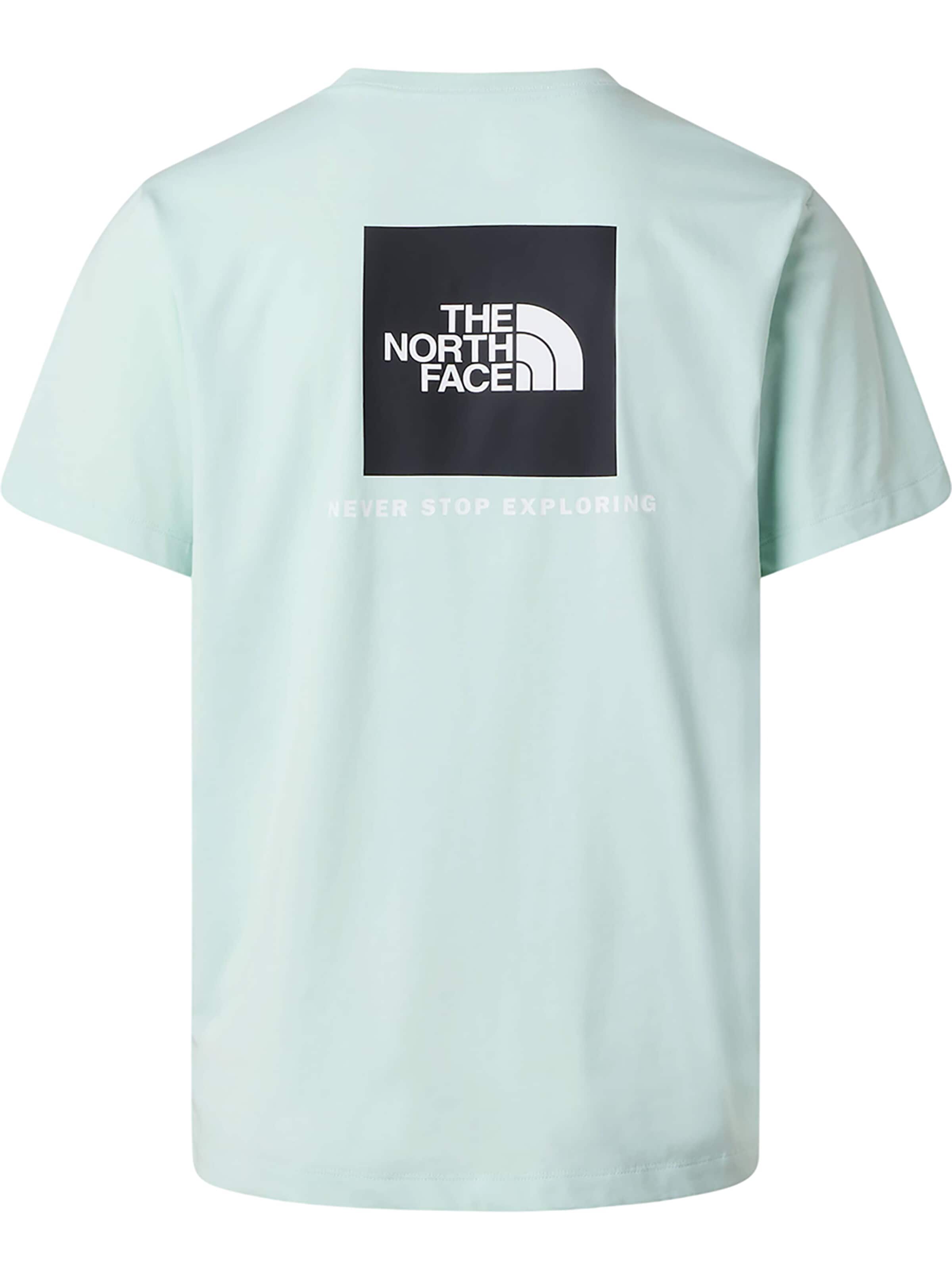THE NORTH FACE Shirt 'Evolution Box NSE Regular' in Blue: front