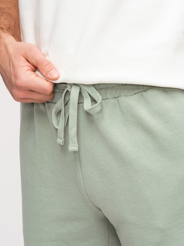 Regular Pantaloni de la Ombre pe verde