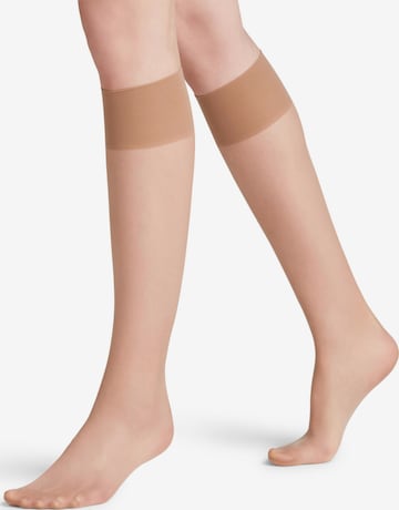 FALKE Knee High Socks 'Seidenglatt' in Brown: front