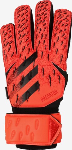 ADIDAS PERFORMANCE Handschuhe in Rot