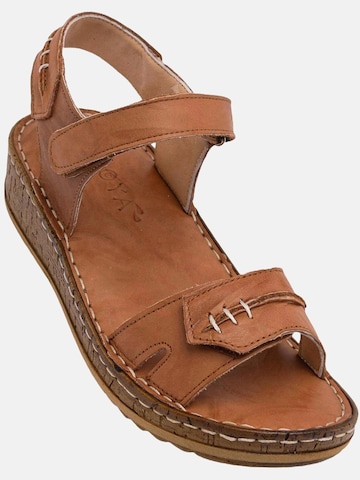 Limoya Sandals 'Damensandalen' in Brown: front