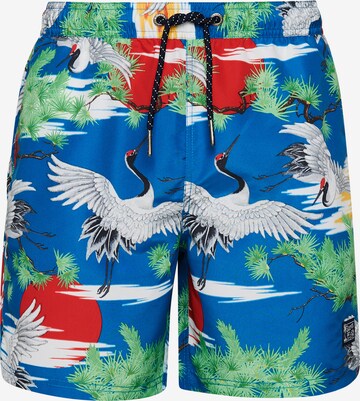 Shorts de bain Superdry en bleu : devant