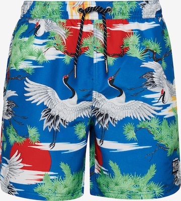 Superdry Zwemshorts in Blauw: voorkant