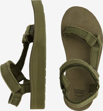 TEVA Hiking Sandals in Green