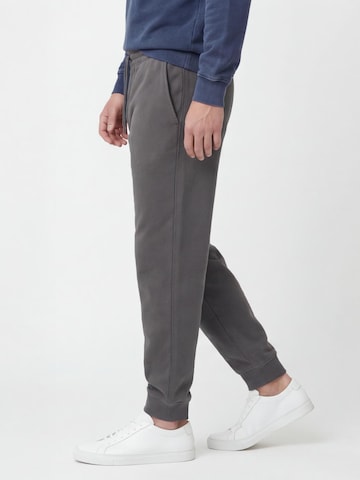 antargo Regular Pants in Grey