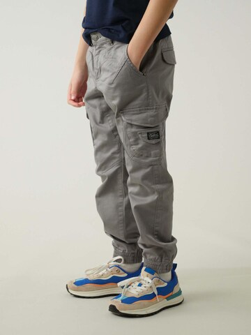 Effilé Pantalon 'Garden' Deeluxe en gris