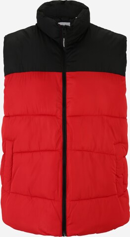 Jack & Jones Plus Vest 'CHILI' in Red: front