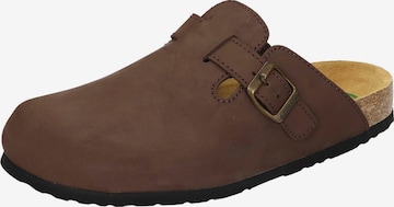 DR. BRINKMANN Clogs 'Nerpio' in Brown: front