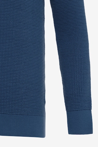 DENIM CULTURE Sweater 'Aljamain' in Blue