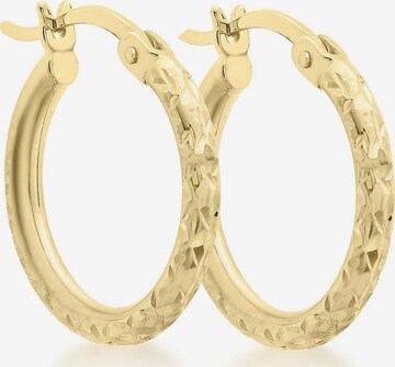 Lucardi Earrings 'Klassisch' in Gold: front