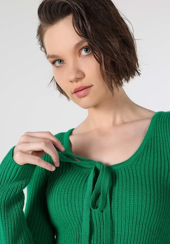 Colin's Trui in Groen