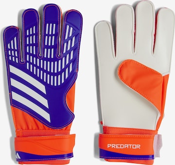 ADIDAS PERFORMANCESportske rukavice 'Predator' - narančasta boja: prednji dio